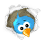 twitter_64x64.png