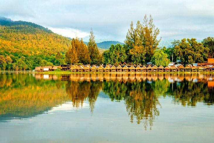 huay tung tao chiang mai