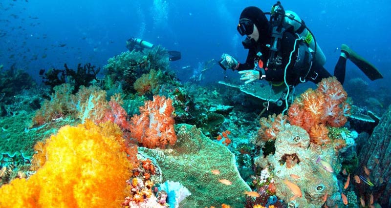 snorkeling kata phuket